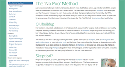 Desktop Screenshot of nopoomethod.com