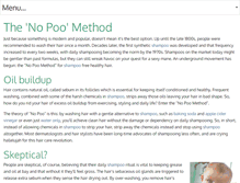 Tablet Screenshot of nopoomethod.com